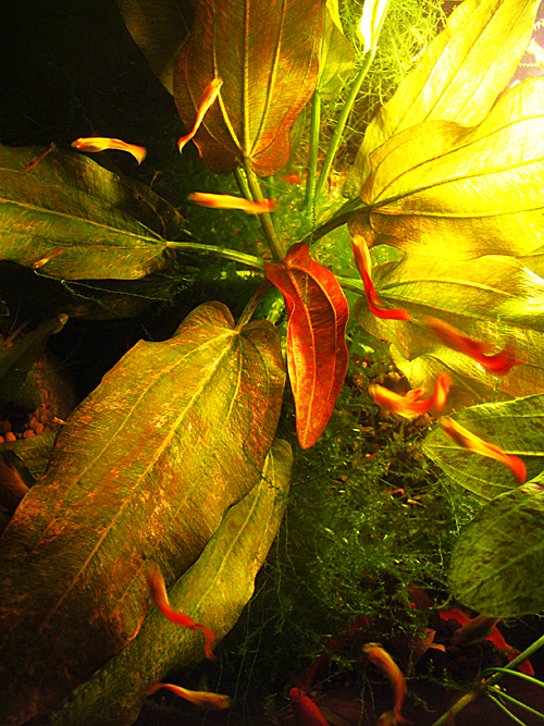 p1430536.jpg