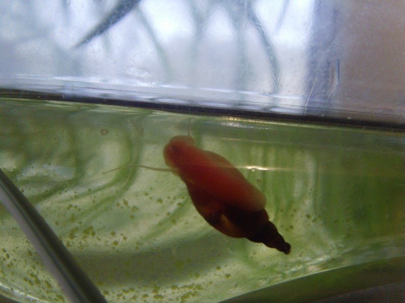 0_af8c3_fc5b6588_xl.jpg
