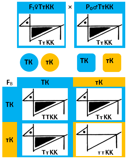 1.1.7.2-12-34_-f1ttkkxp0ttkk.png