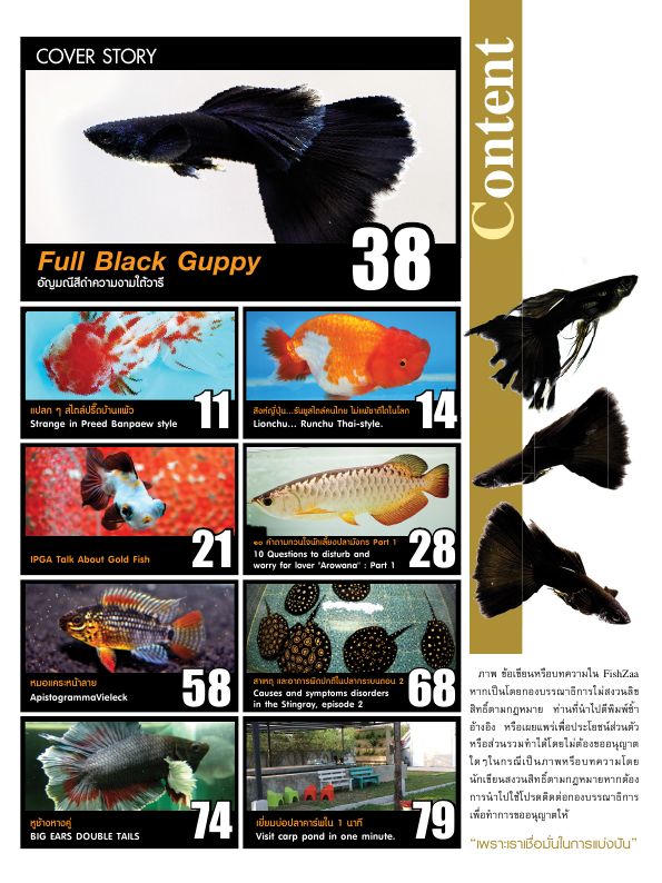142288-july_2013_full_9-content.png