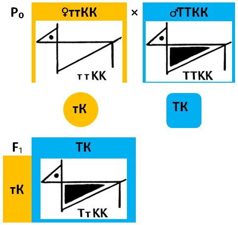 1.1.1-p0-ttkkxttkk.png