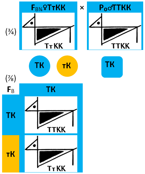 1.1.1.3.b-34-_78_-fb34ttkkxp0ttkk.png