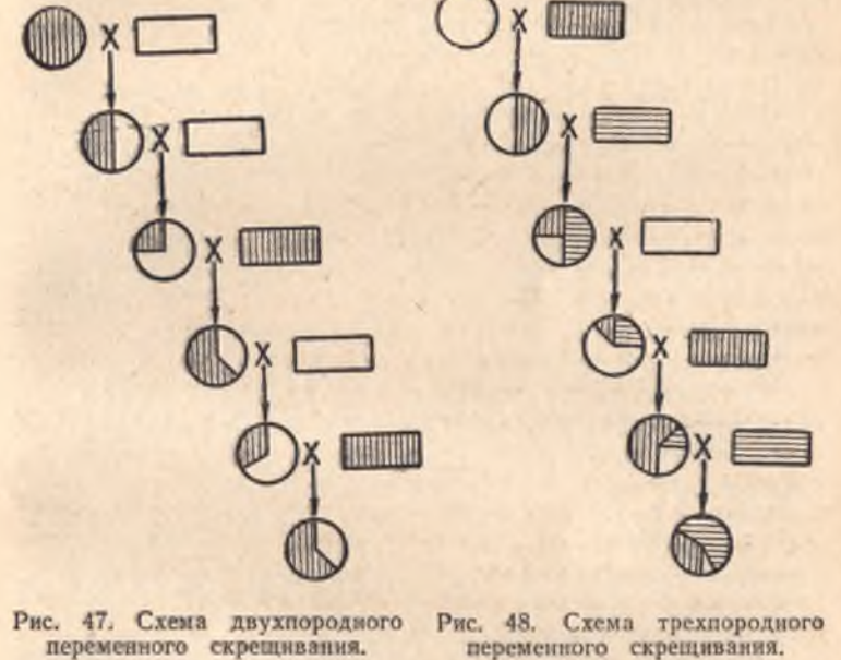 p167zusman_n.s._lepeshkin_v.i._razvedenie_krolikov_-_m_kolos_1966_-_223p.png
