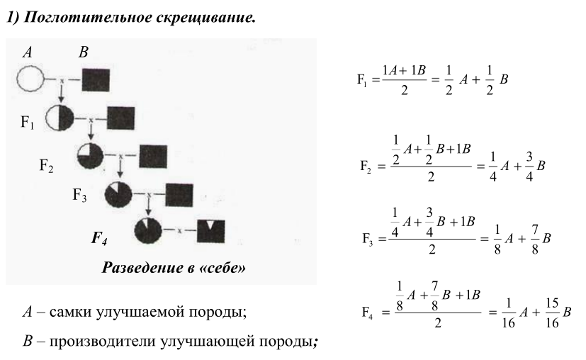 p4215razvedenie-s.-h.-jivotnyh-fzo_2011.png