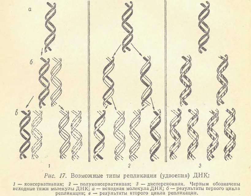 p54lobashev_me_genetika_l_izd-vo_lgu_1969.png