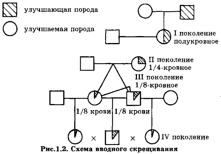 p_22antonjuk_v.s._osnovy_zhivotnovodstva_minsk_dizajn_pro_1997_512_p.png