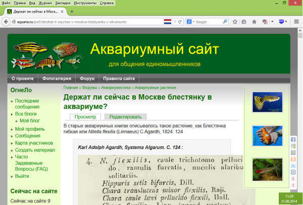 201408311131-vse-v-norme.png