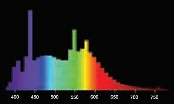 24w_t4_g5_6400k765.jpg