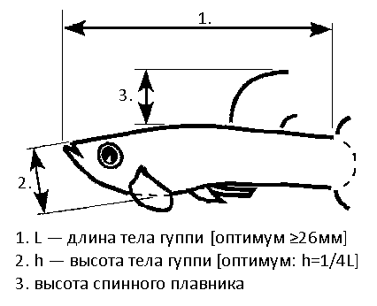 5_1.png