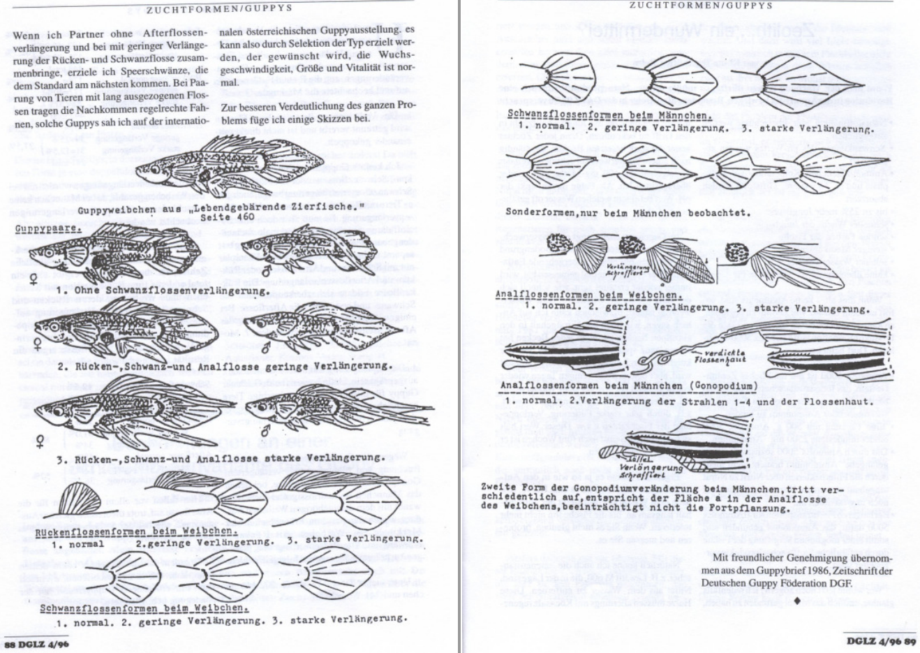 964-dglz_4-1996p88-89.png
