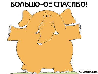 bfze86g5cro.jpg