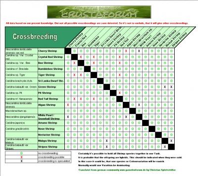 http://www.crustaforum.com/images/crossbreeding_big.jpg