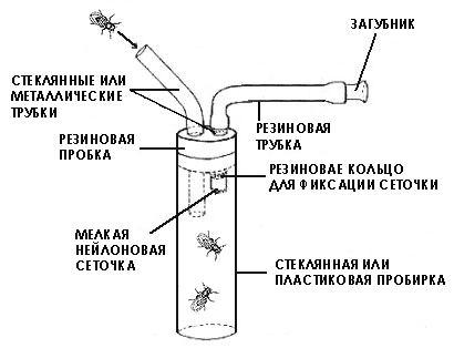 exhauster1.jpg