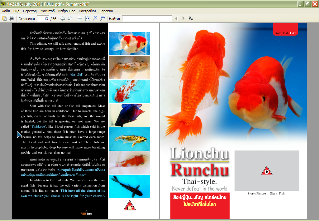 fish_zaa-07-201300.png