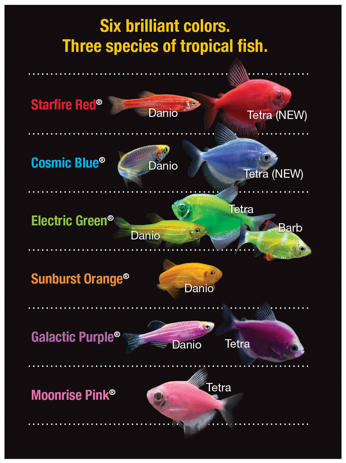 glofishchart_hires.jpg