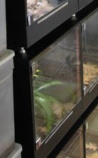 img_8269-1.jpg
