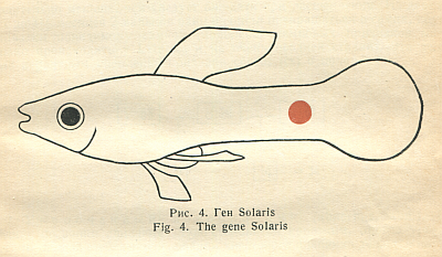 kirpichnikov_biolzh-1935-4-12_779152321-360.png