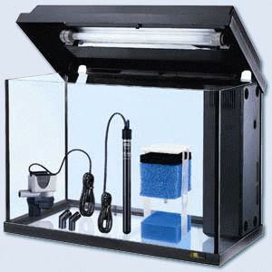 Aqarium Juwel