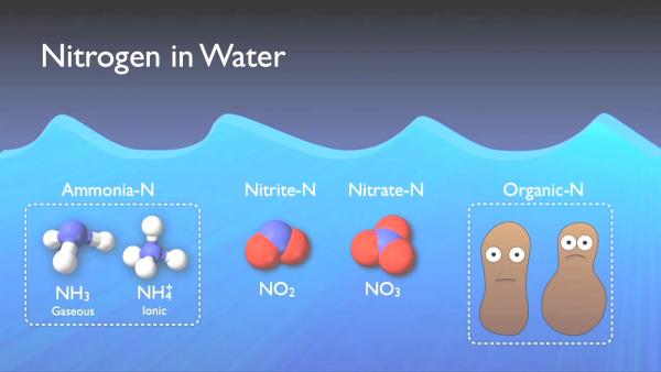 nitrogen_removal_basics-0-01-30-715.jpg