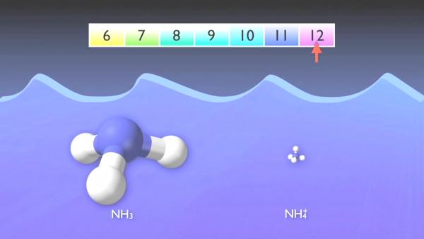 nitrogen_removal_basics-0-03-26-977.jpg