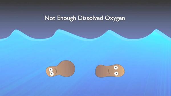 nitrogen_removal_basics-0-05-06-156.jpg