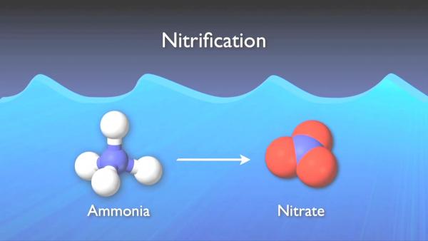 nitrogen_removal_basics-0-07-15-475.jpg