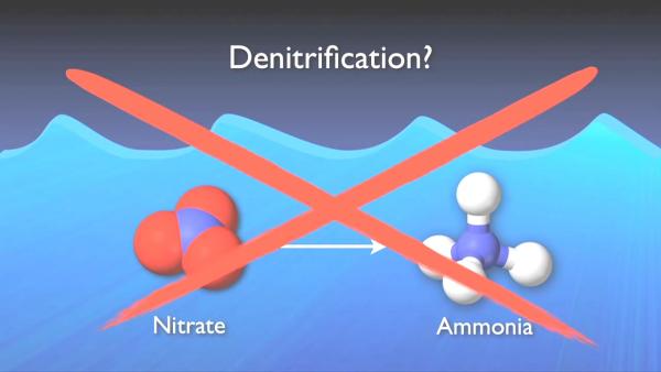 nitrogen_removal_basics-0-07-22-475.jpg