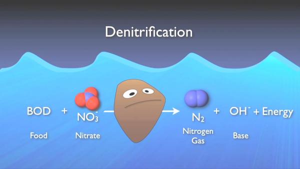 nitrogen_removal_basics-0-08-08-512.jpg