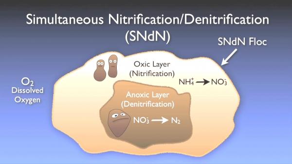 nitrogen_removal_basics-0-08-53-478.jpg