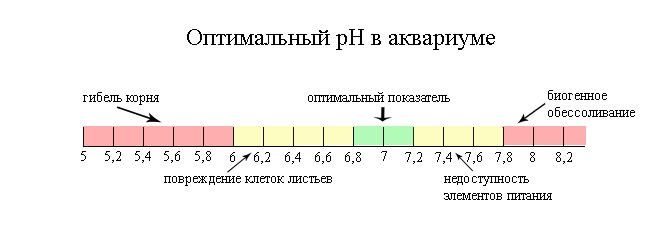 optimal_ph.jpg