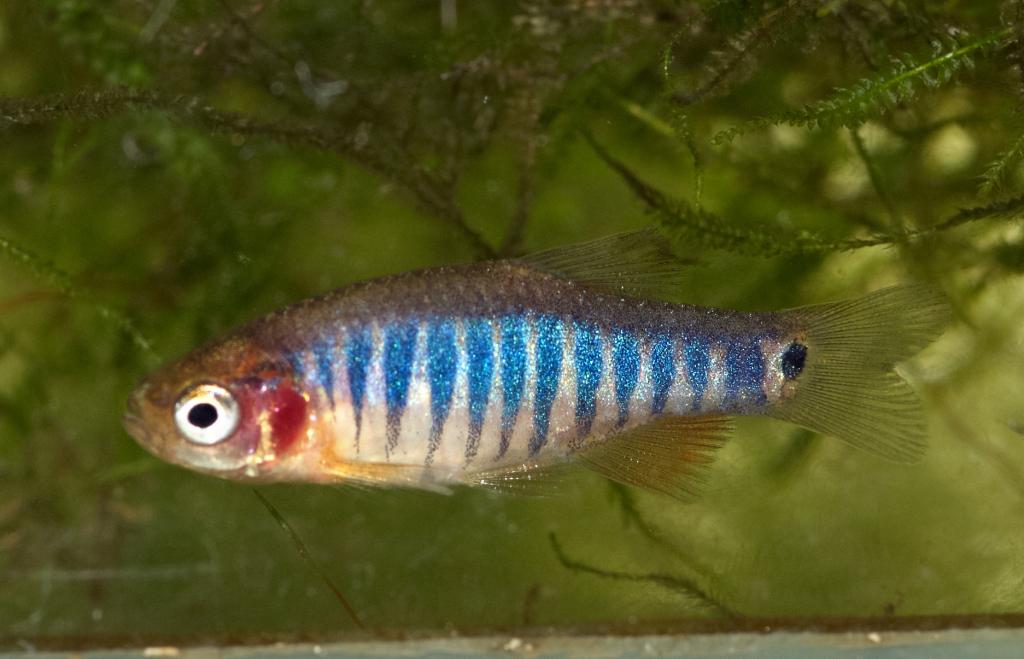 dsc_6231_cr.jpg