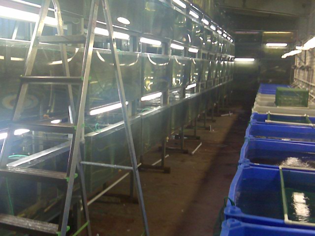 pic00114.jpg