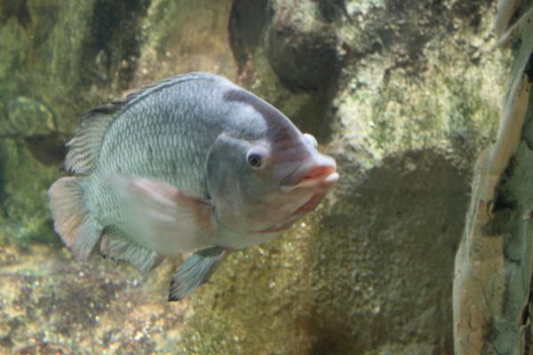 r7.jpg