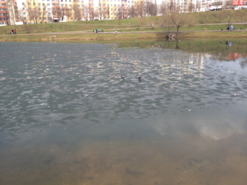 img_0028.jpg