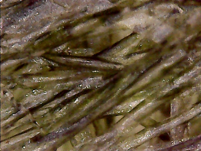 0303-5.jpg