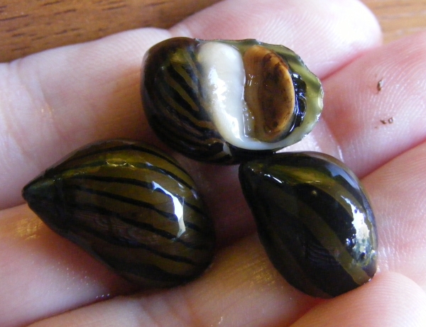 dscf2847.jpg