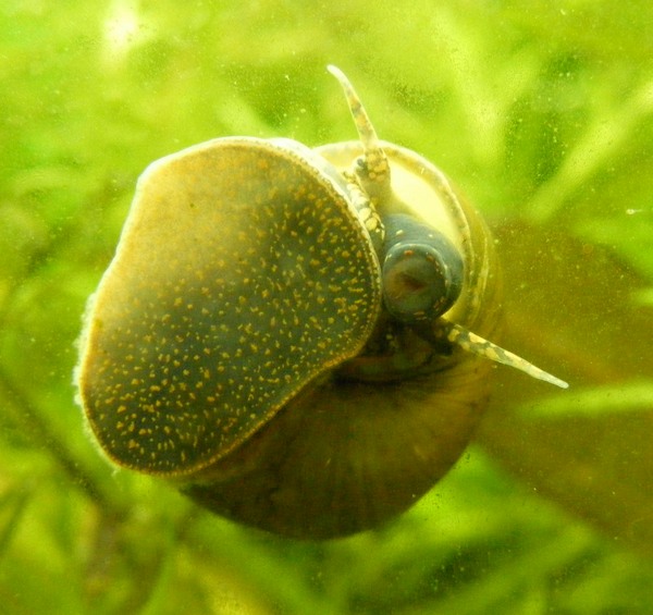 dscf2852.jpg