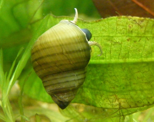 dscf2857.jpg