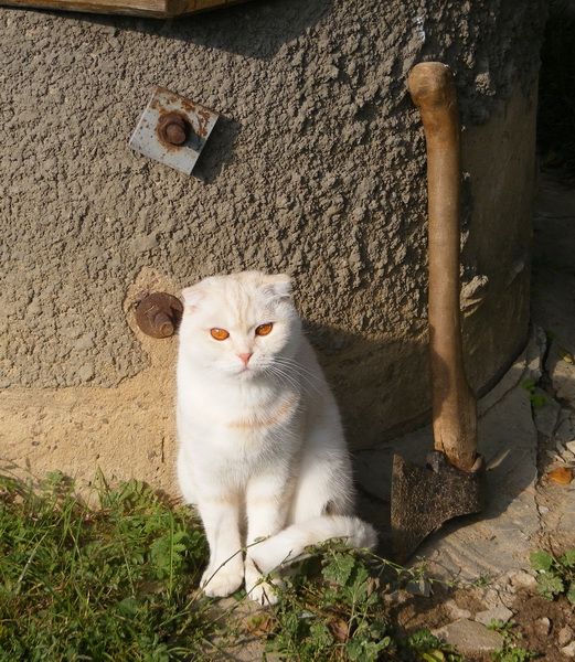 dscf8812.jpg