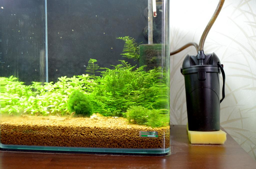 aqua30l.jpg