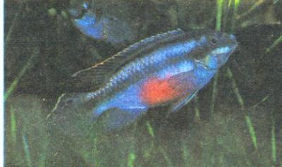 A1993-1-6