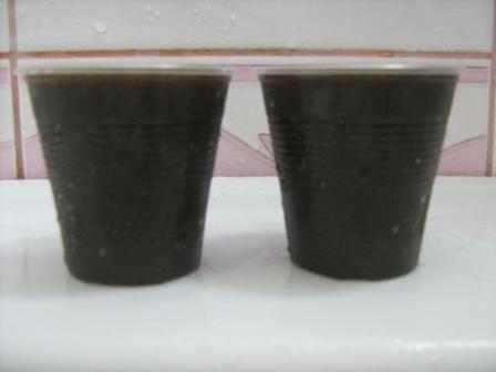 img_6491_-_kopiya_0.jpg