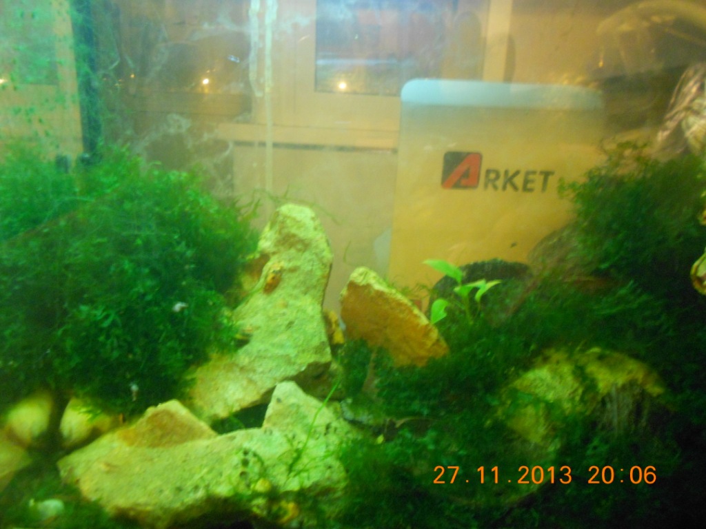 dscn0336.jpg