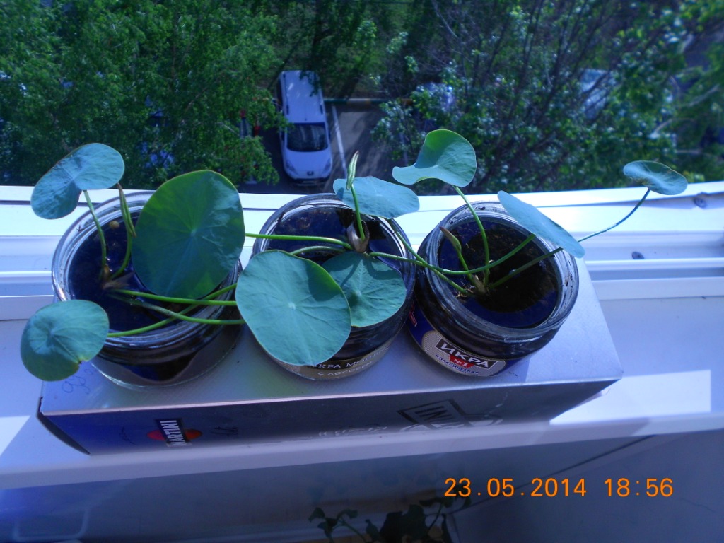 dscn0392.jpg