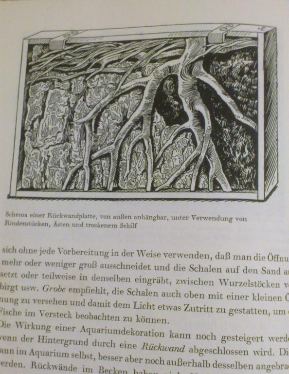 hans_frey_1.jpg