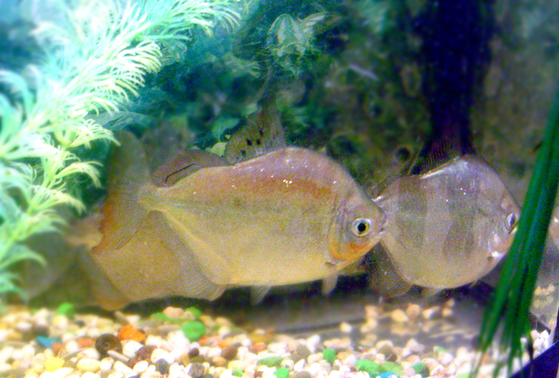 s8302080.jpg