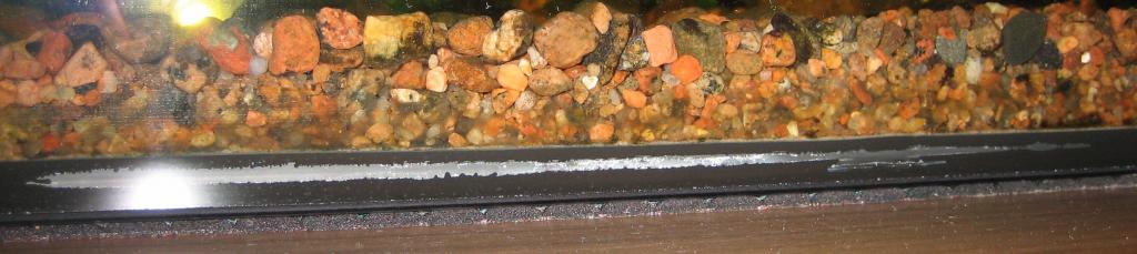 img_2884.jpg