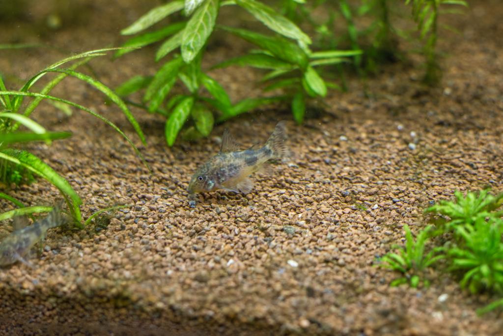 img_6923.jpg