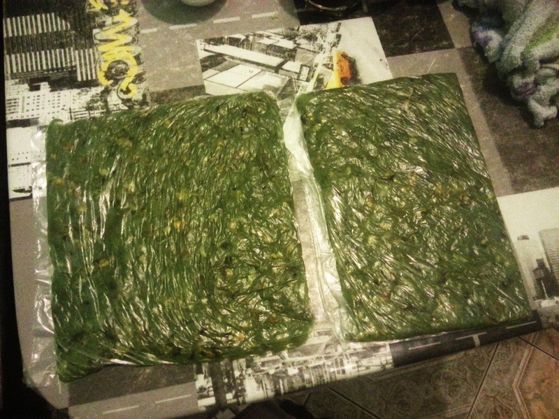 20150419_195821.jpg