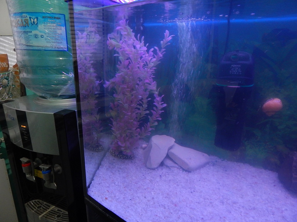 dscn1702.jpg